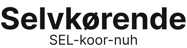 Selvkørende Website